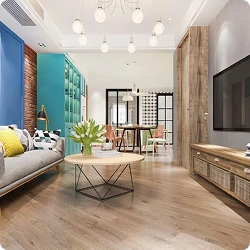 Living Room vinyl flooring