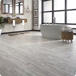 Vinyl Flooring Bathroom
