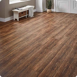 Vinyl Flooring Interior